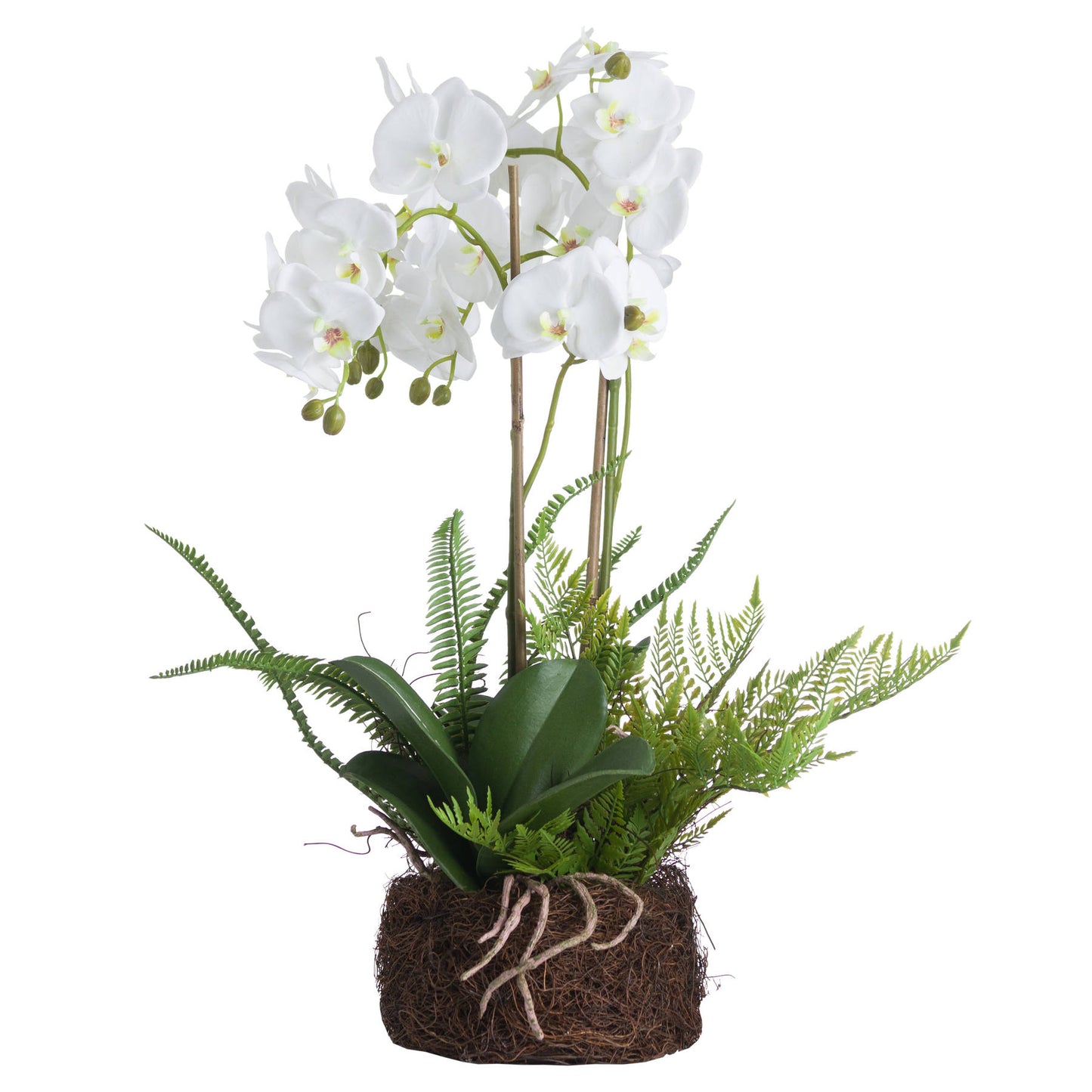 Large White Orchid and Fern Garden in Rustic Rootball – Luxury Artificial Floral Arrangement