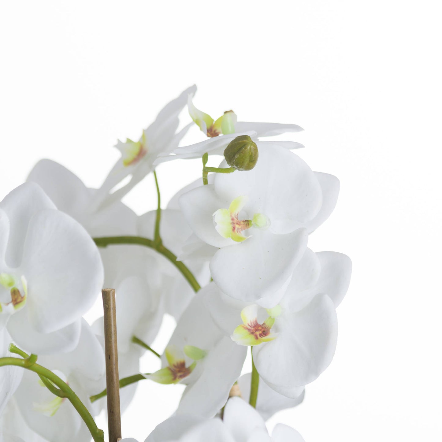 Large White Orchid and Fern Garden in Rustic Rootball – Luxury Artificial Floral Arrangement