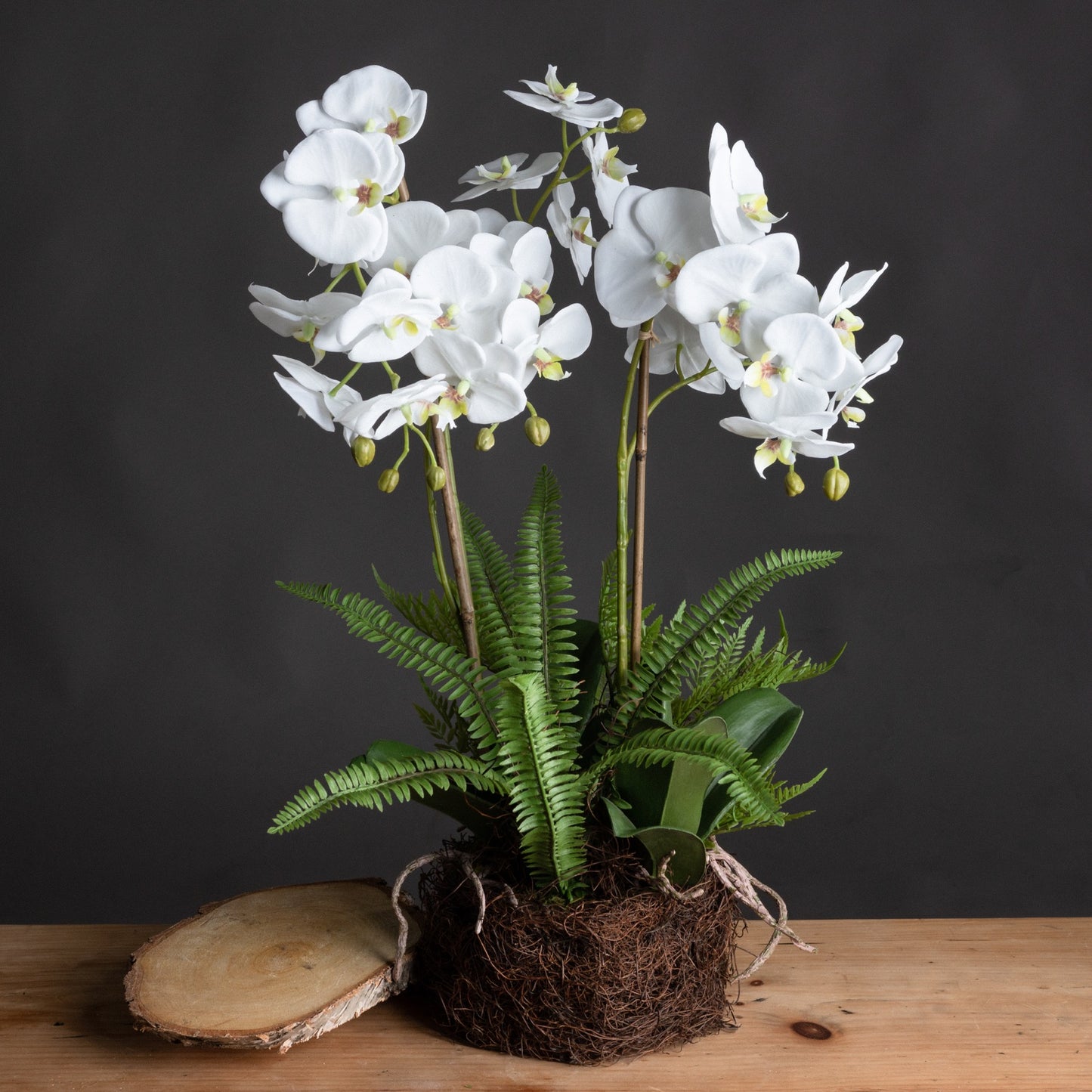 Realistic large white orchid and fern arrangement in a rustic handcrafted rootball base, elegant and lifelike floral décor.
