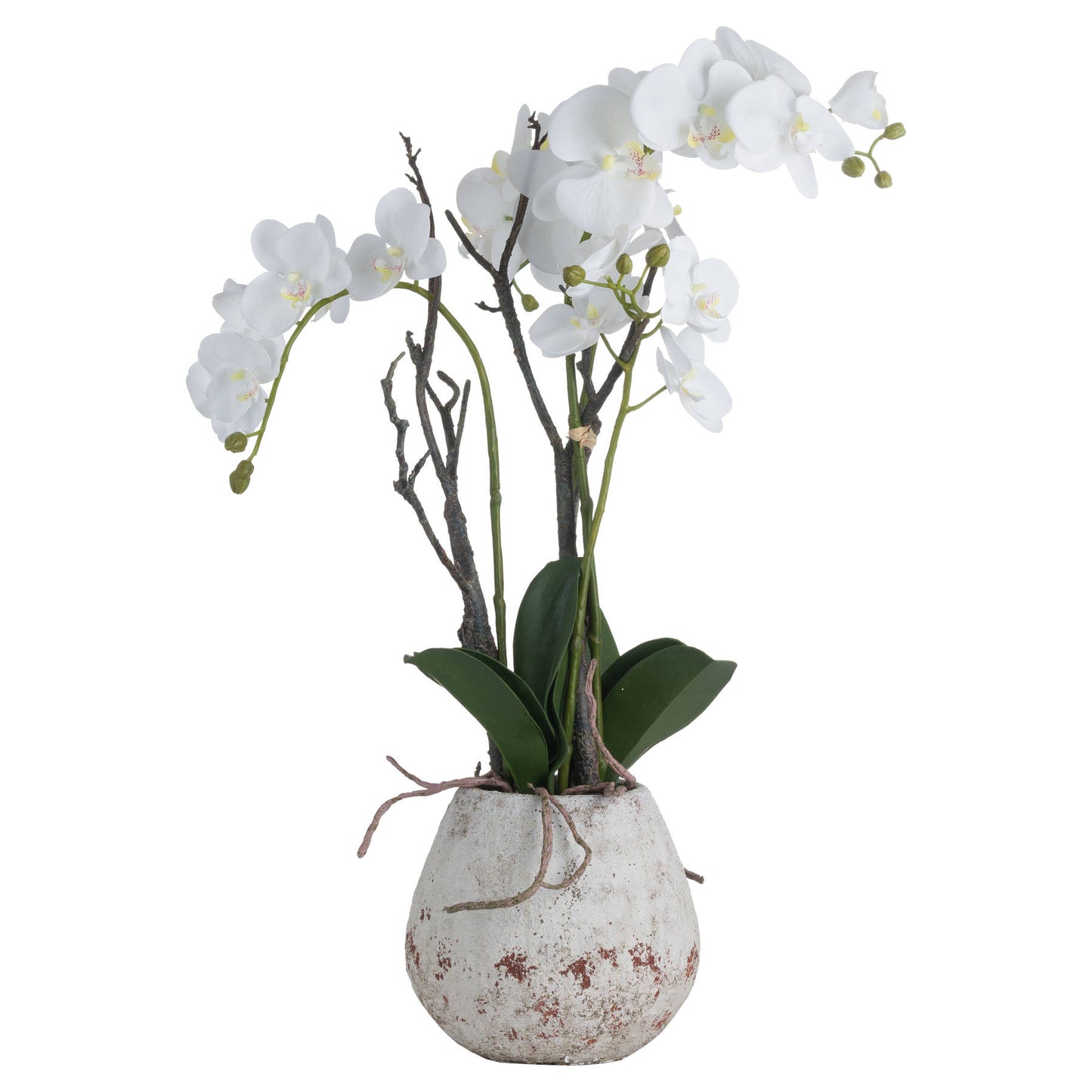 White Faux Orchid in Aged Stone Pot – Realistic Artificial Floral Centerpiece (70cm)