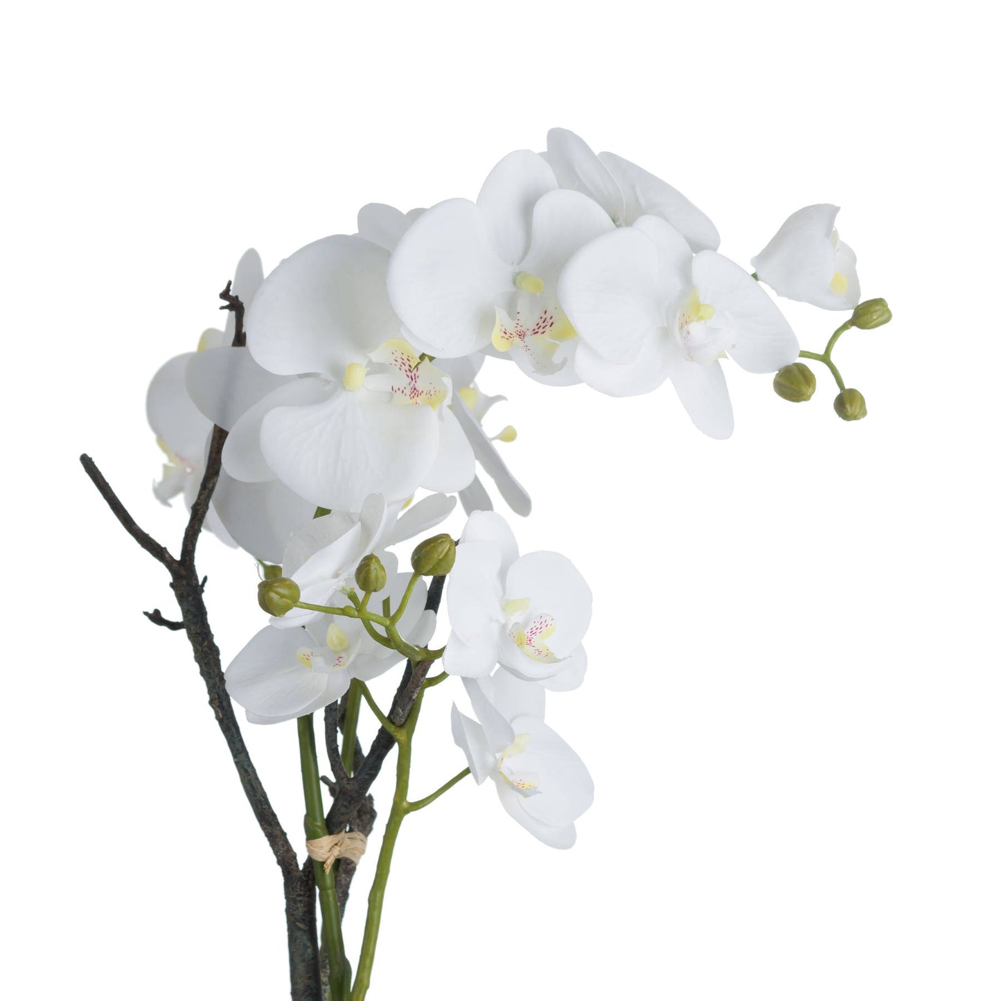 White Faux Orchid in Aged Stone Pot – Realistic Artificial Floral Centerpiece (70cm)