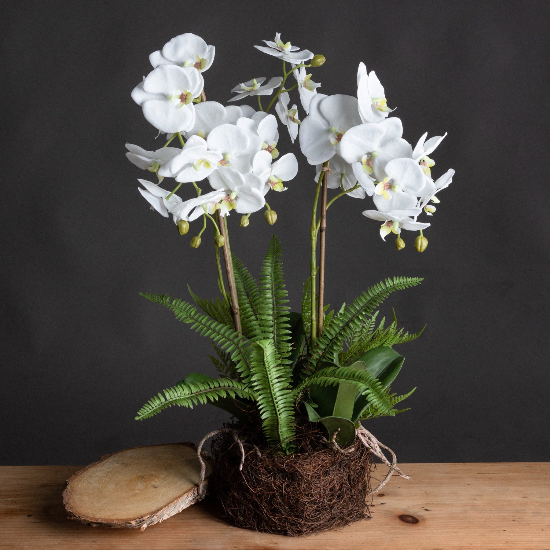 Realistic large white orchid and fern arrangement in a rustic handcrafted rootball base, elegant and lifelike floral décor.