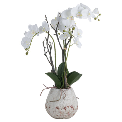 White Faux Orchid in Aged Stone Pot – Realistic Artificial Floral Centerpiece (70cm)