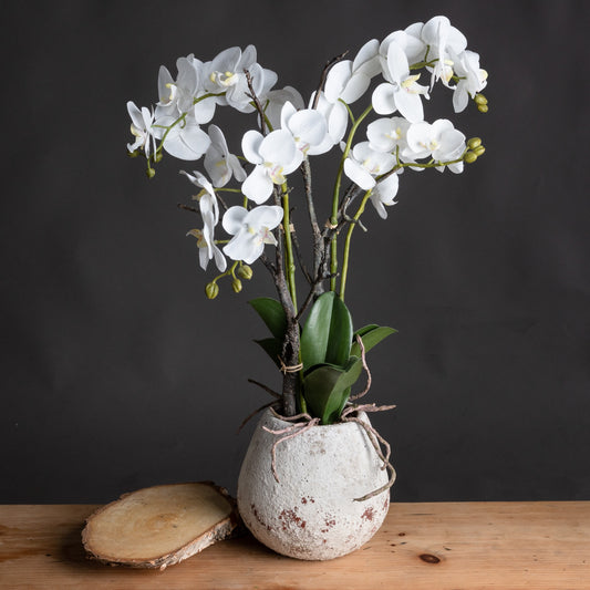 Elegant faux white orchid in textured white stone pot with detailed blooms