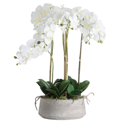 Large Faux White Orchid in Stone Pot